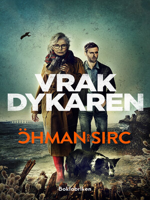 cover image of Vrakdykaren